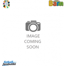 Albania Bortedraktsett Barn EM 2024 Kortermet (+ Korte bukser)